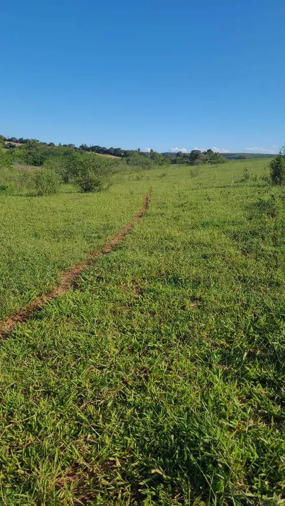 Terreno, 2 hectares - Foto 2