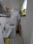 Apartamento, 2 quartos, 54 m² - Foto 5