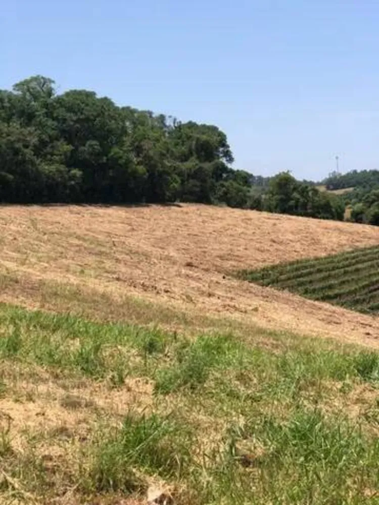 Terreno, 2 hectares - Foto 4