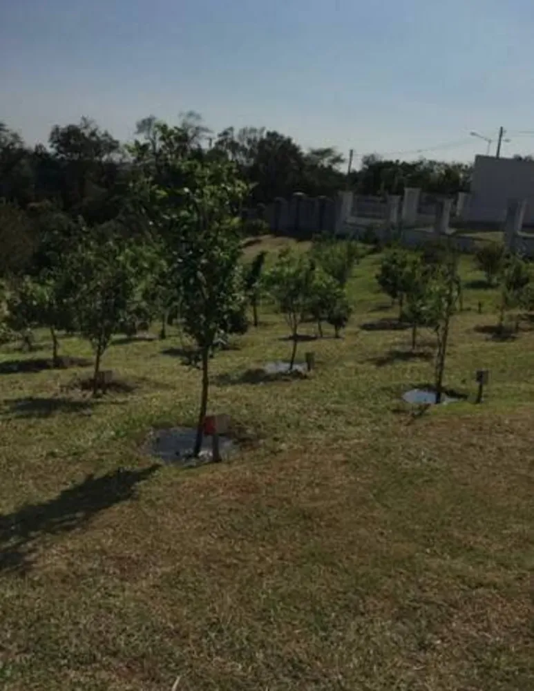 Terreno, 840 m² - Foto 7