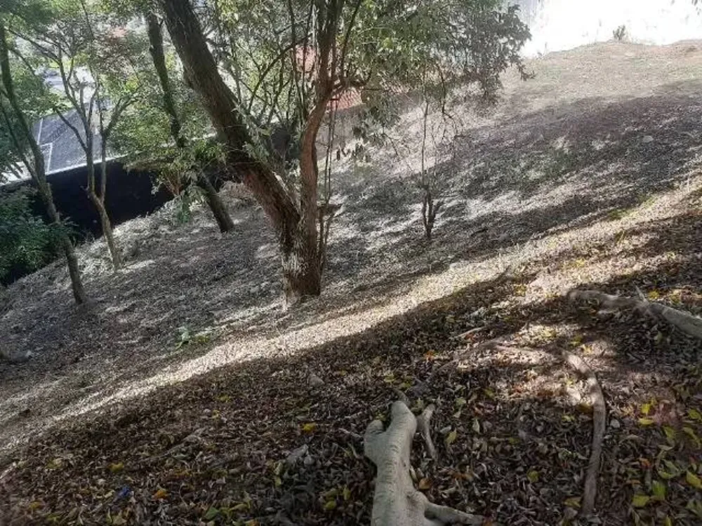 Terreno, 350 m² - Foto 2