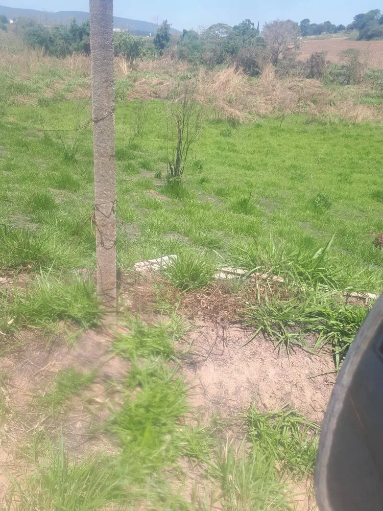 Terreno, 3 hectares - Foto 9