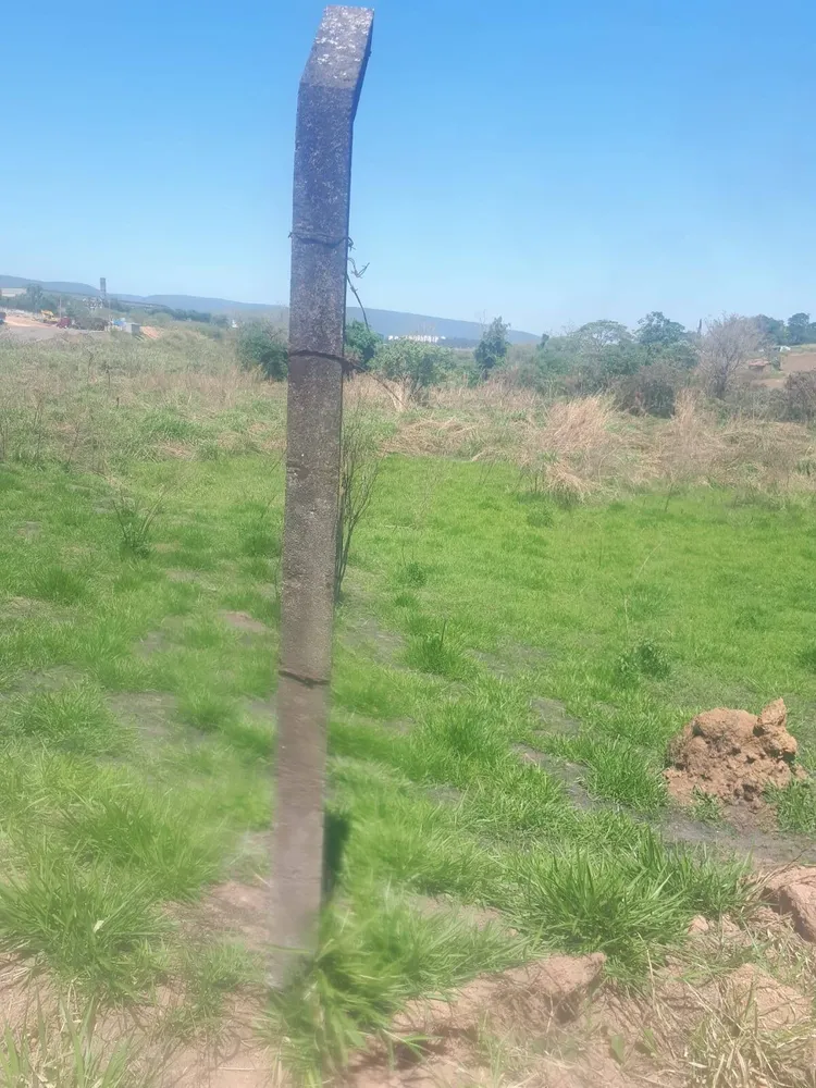Terreno, 3 hectares - Foto 7