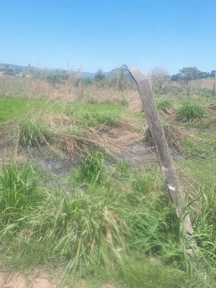 Terreno, 3 hectares - Foto 8