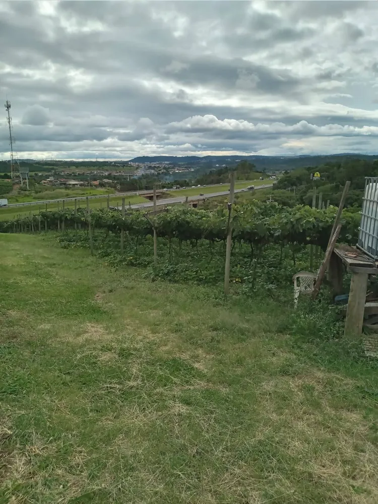 Prédio Inteiro, 13000 m² - Foto 7
