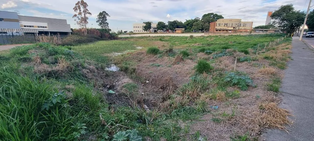Terreno, 1 hectares - Foto 8