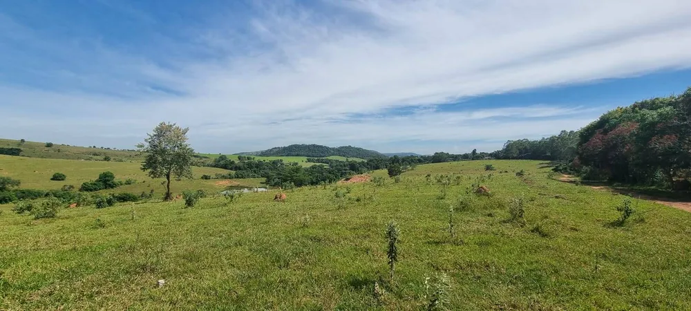 Terreno, 21 hectares - Foto 3