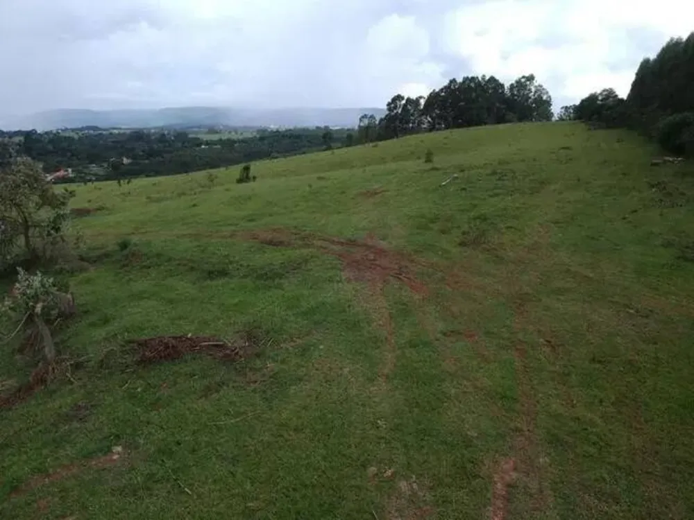 Terreno, 21 hectares - Foto 2