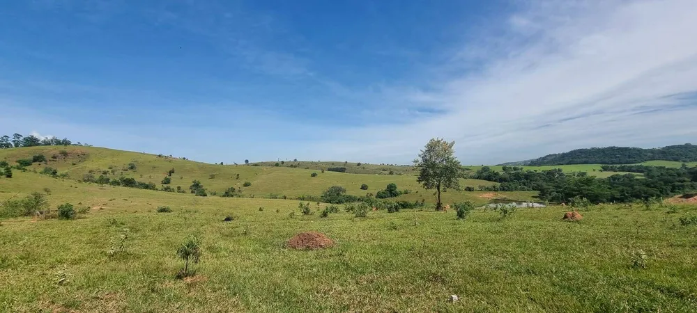Terreno, 21 hectares - Foto 4