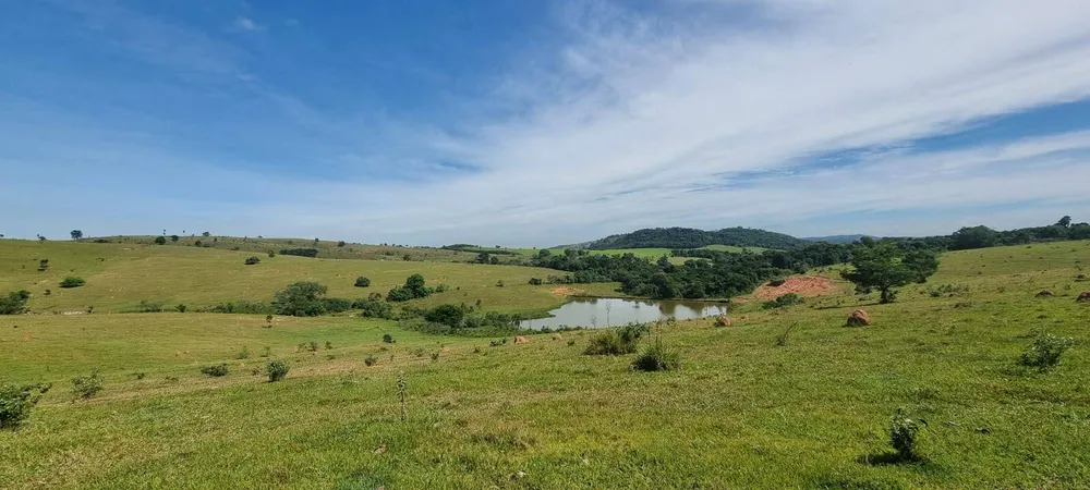 Terreno, 21 hectares - Foto 6