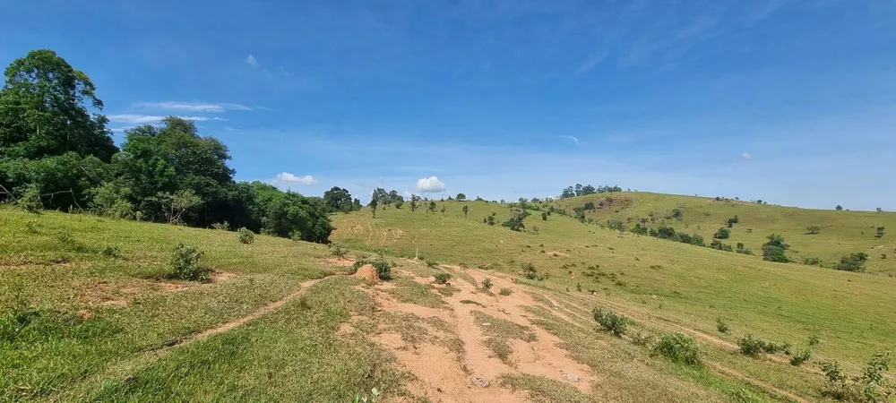 Terreno, 21 hectares - Foto 1