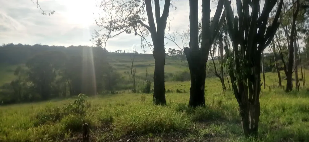 Terreno, 7 hectares - Foto 3