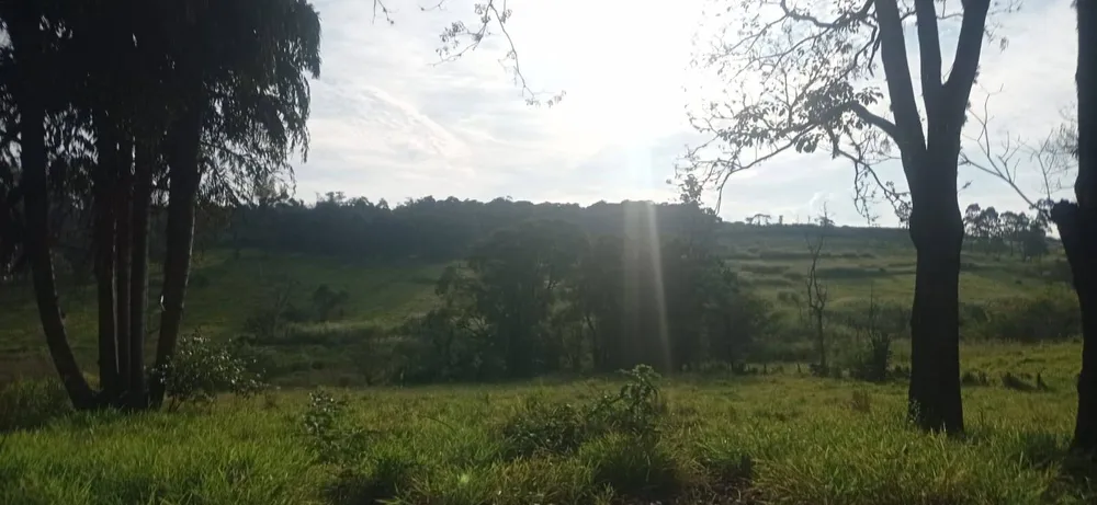 Terreno, 7 hectares - Foto 4