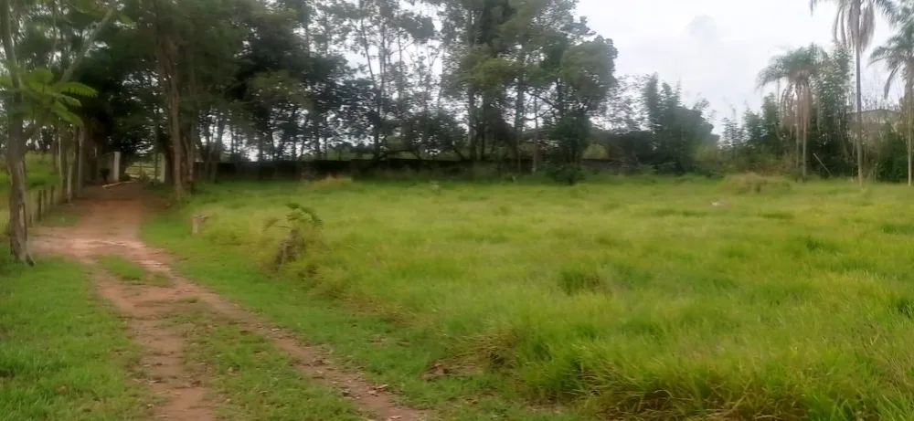 Terreno, 7 hectares - Foto 6