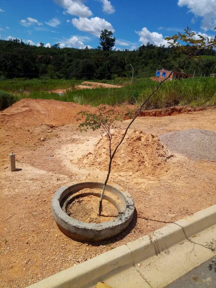 Terreno, 250 m² - Foto 1