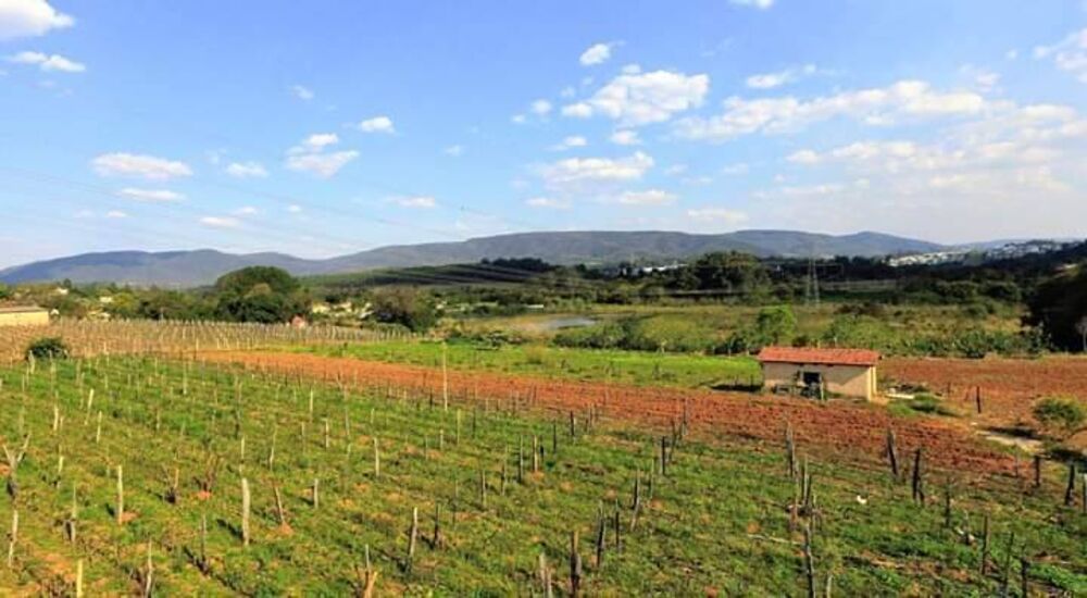 Prédio Inteiro à venda, 36000m² - Foto 5