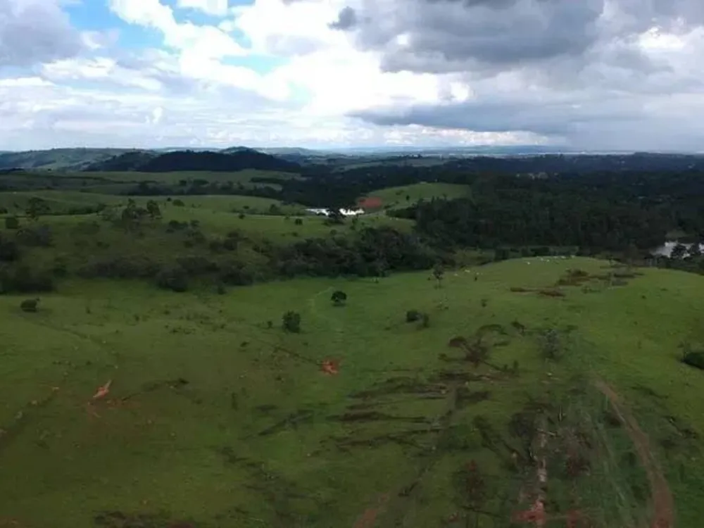 Terreno, 93 hectares - Foto 4