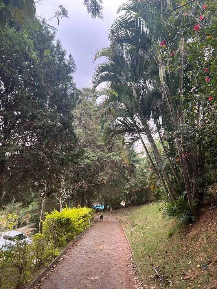 Casa, 6 quartos, 5000 m² - Foto 3