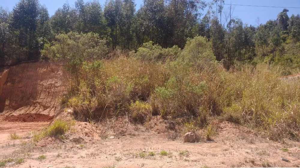 Terreno, 250 m² - Foto 6