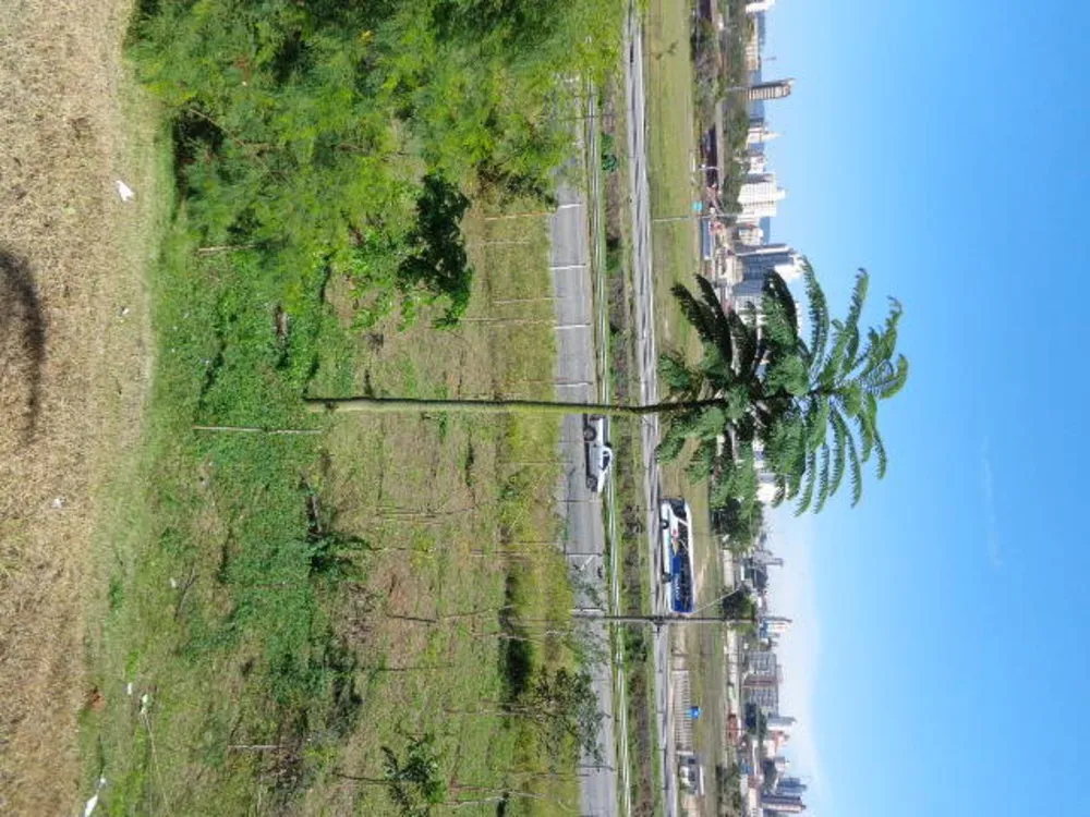 Apartamento, 2 quartos, 49 m² - Foto 10
