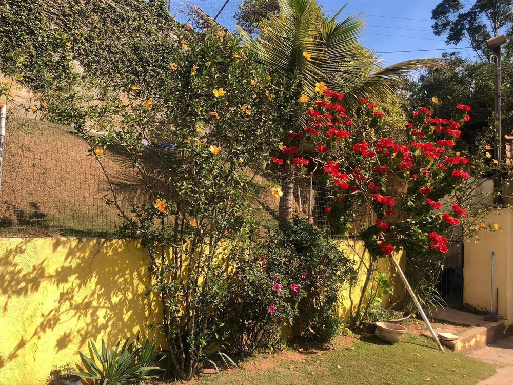 Chácara, 3 quartos, 2500 m² - Foto 2