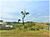 Terreno, 1000 m² - Foto 2