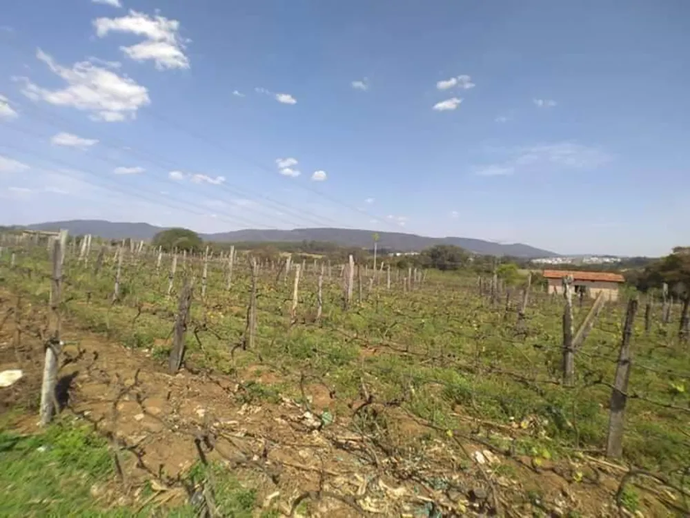 Prédio Inteiro, 36000 m² - Foto 4