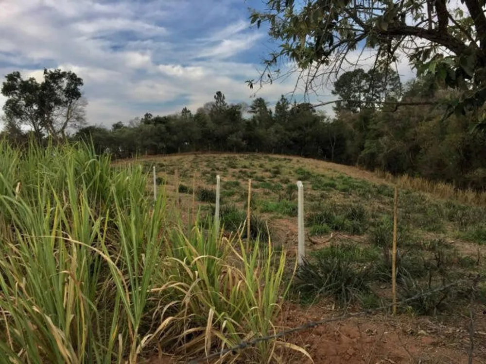 Terreno, 5600 m² - Foto 4