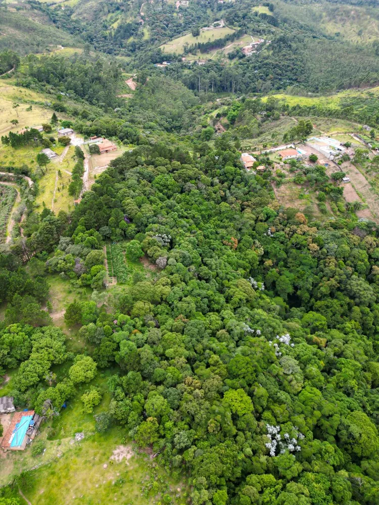 Terreno, 14 hectares - Foto 8