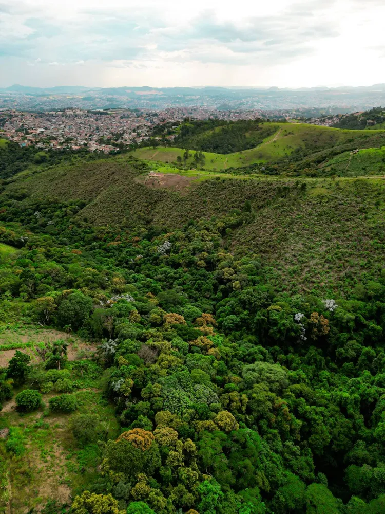Terreno, 14 hectares - Foto 12