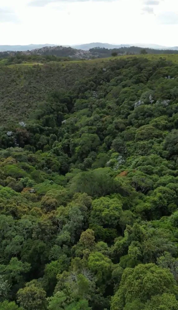 Terreno, 14 hectares - Foto 4