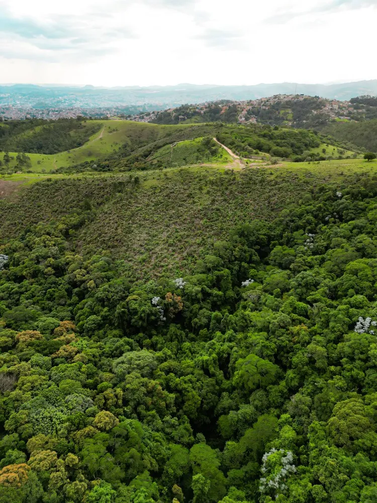 Terreno, 14 hectares - Foto 11