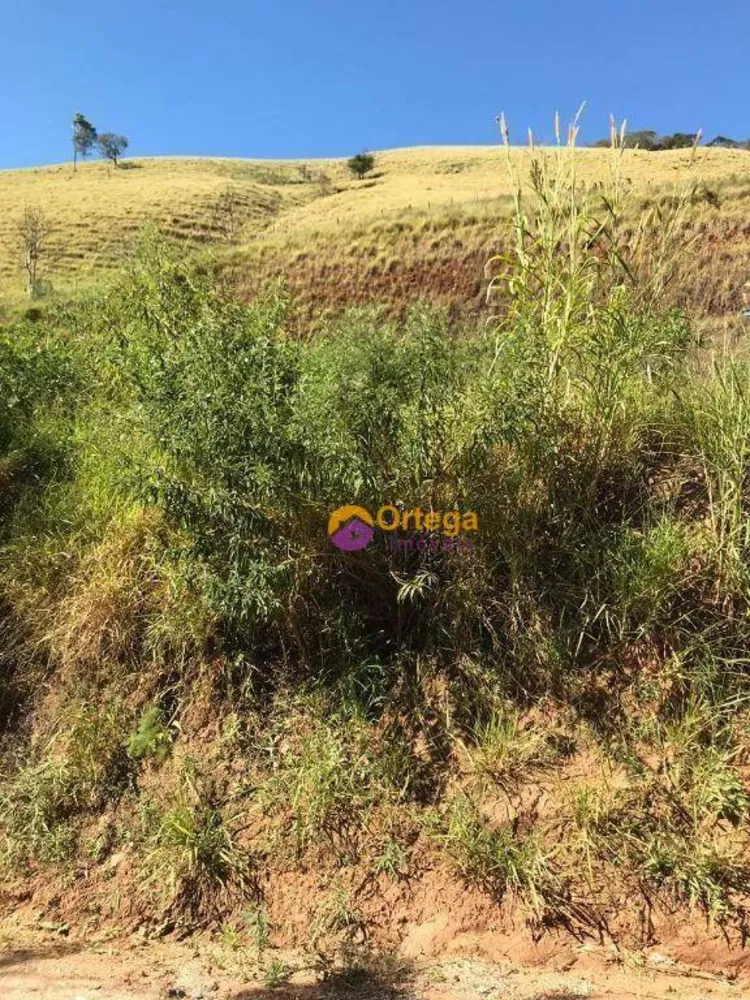 Terreno à venda - Foto 4