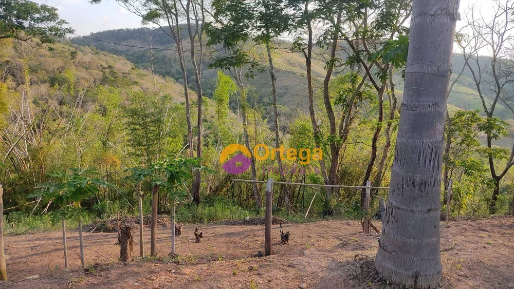 Chácara à venda com 2 quartos, 32000M2 - Foto 7