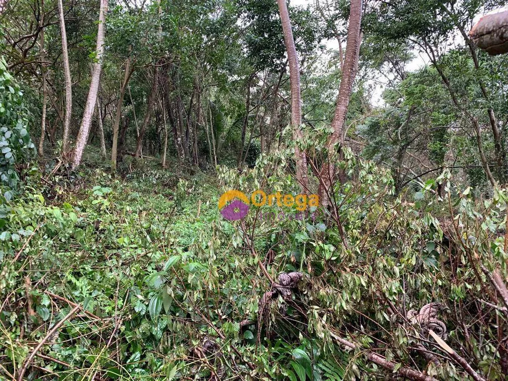 Terreno, 1300 m² - Foto 4