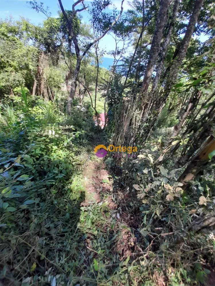 Terreno, 1300 m² - Foto 8