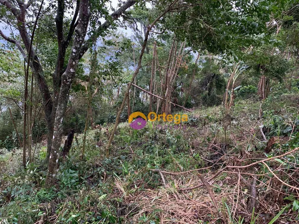 Terreno, 1300 m² - Foto 3