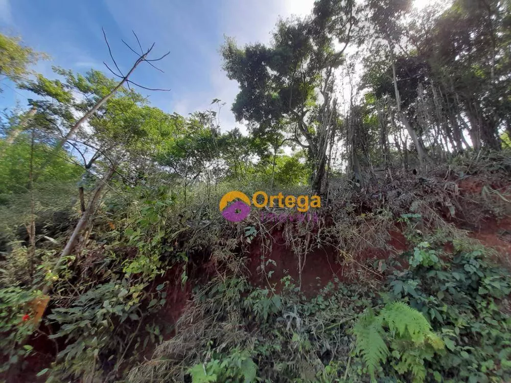 Terreno, 1300 m² - Foto 10