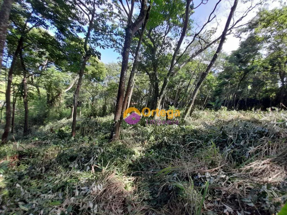 Terreno, 1300 m² - Foto 9