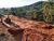 Terreno, 1133 m² - Foto 2