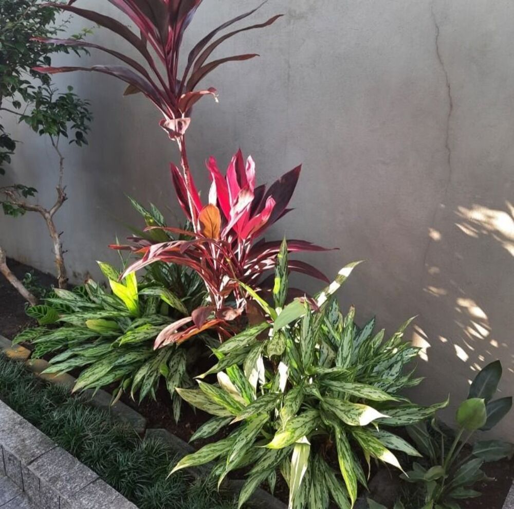 Casa, 7 quartos, 512 m² - Foto 4