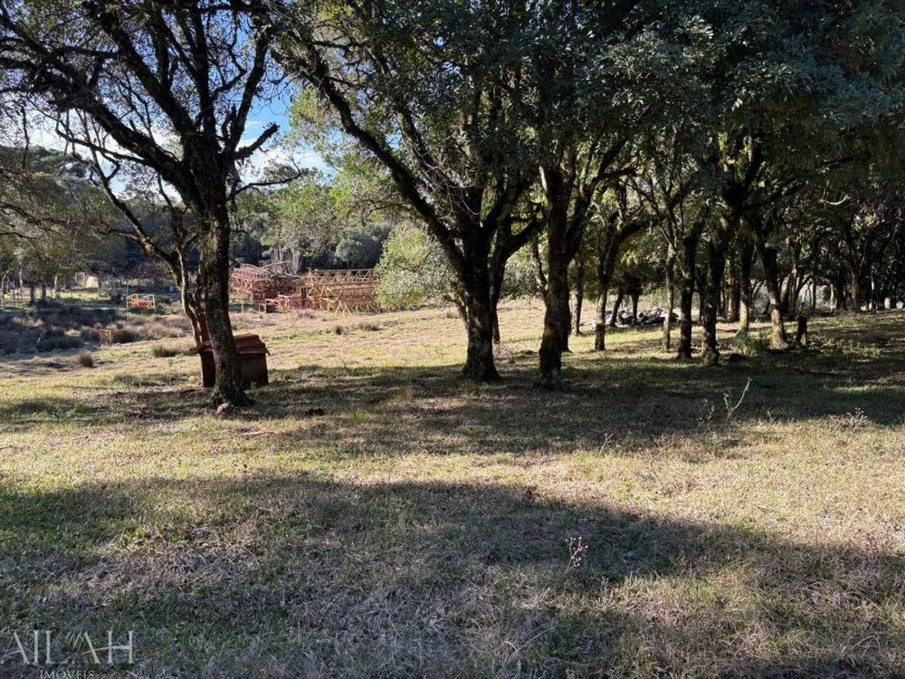 Apartamento, 3 quartos, 72 m² - Foto 6