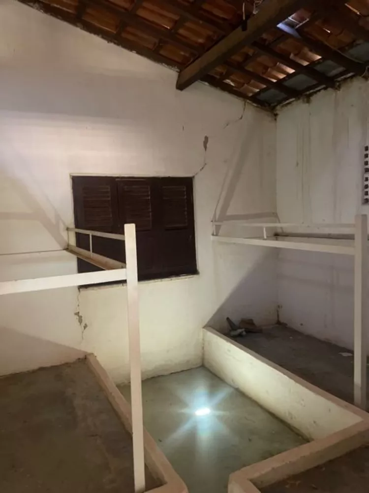 Fazenda, 3000 hectares - Foto 2