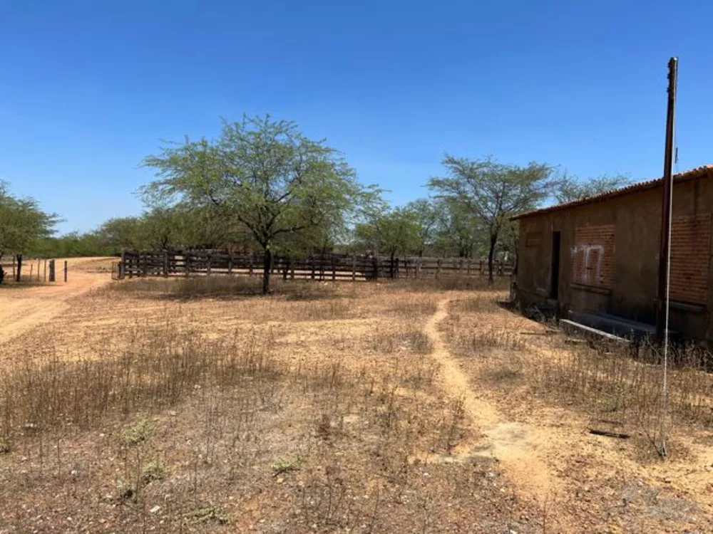 Fazenda, 3000 hectares - Foto 1