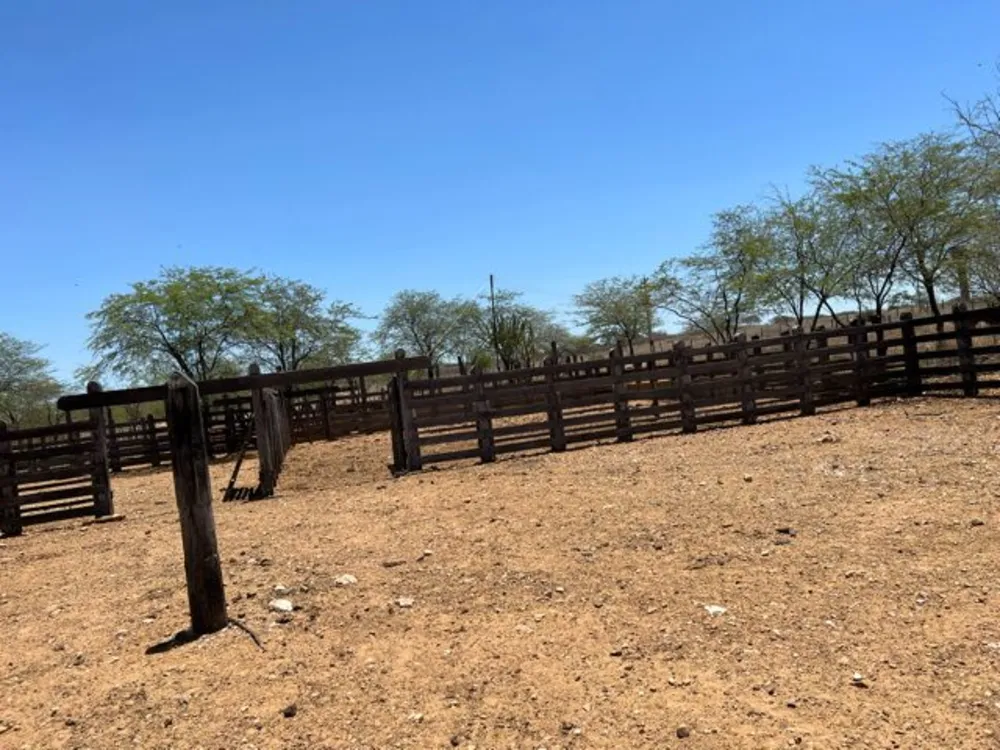 Fazenda, 3000 hectares - Foto 3