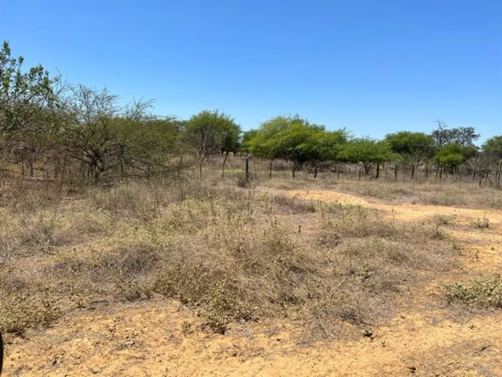Fazenda, 3000 hectares - Foto 18