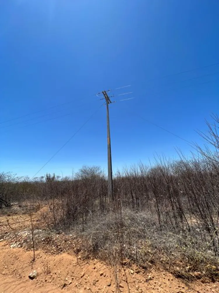 Fazenda, 3000 hectares - Foto 6