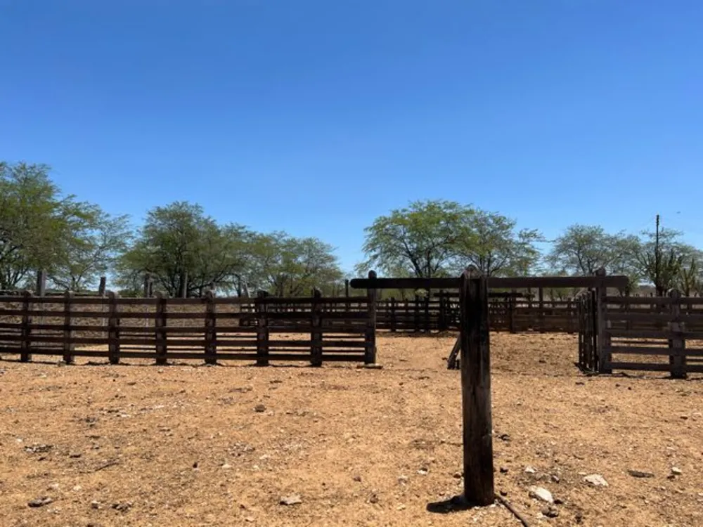 Fazenda, 3000 hectares - Foto 2