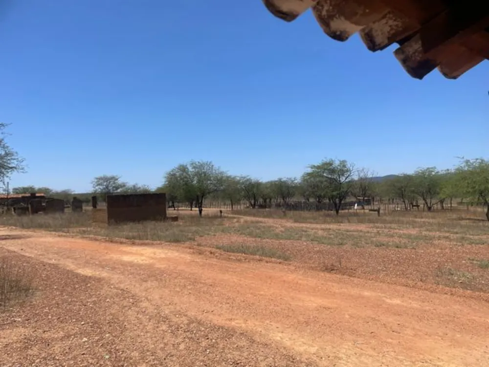 Fazenda, 3000 hectares - Foto 15