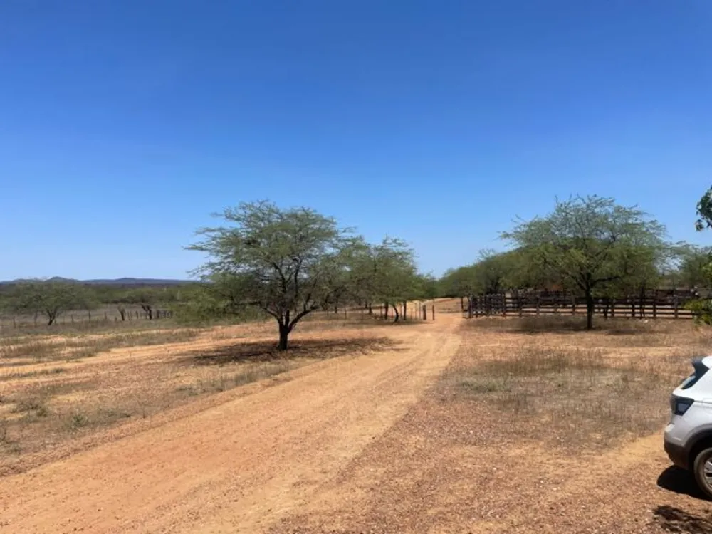 Fazenda, 3000 hectares - Foto 11